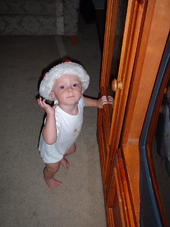 getting ready for x-mas .jpg 23.8K